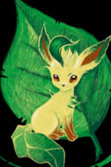 Pokemon Chi Quần Đùi Tiểu Tử